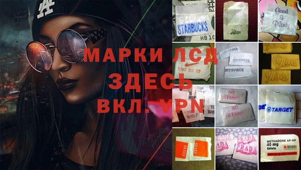 дмт Гусев