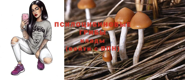 метадон Балабаново